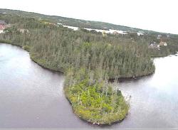 65 Connors Cove Road Brigus Junction, NL A0B 1G0