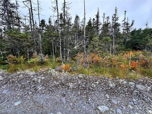 65A Connors Cove Road, Brigus Junction, NL 