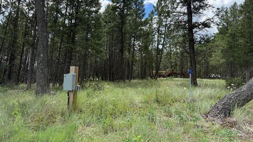 2140 22Nd Street, Invermere, BC - Outdoor With View