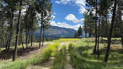 2140 22Nd Street, Invermere, BC - Outdoor With View