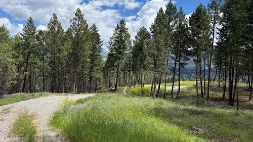2140 22Nd Street, Invermere, BC - Outdoor With View