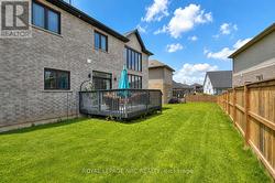 Rear Yard - 
