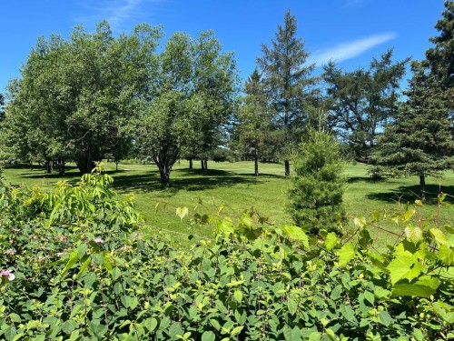 View - 50 Rue Gabrielle-Roy, Notre-Dame-De-L'Île-Perrot, QC - Outdoor