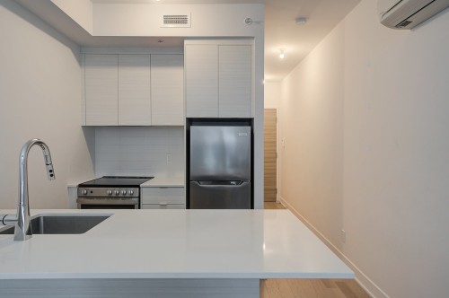 Kitchen - 409C-1400 Rue Ottawa, Montréal (Le Sud-Ouest), QC - Indoor Photo Showing Kitchen With Upgraded Kitchen