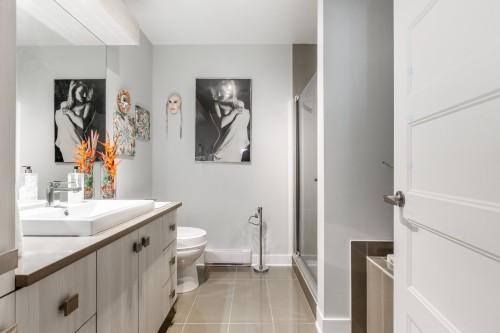 Master Bathroom - 304-7755 Boul. St-Martin O., Laval (Sainte-Dorothée), QC - Indoor Photo Showing Bathroom