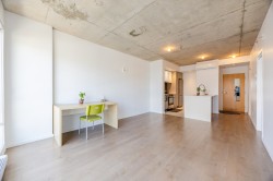 Living Room - 