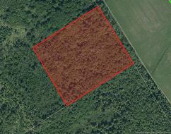 Lot Saint-Damien RD  Sainte-Marie-De-Kent, NB E4V 3E5