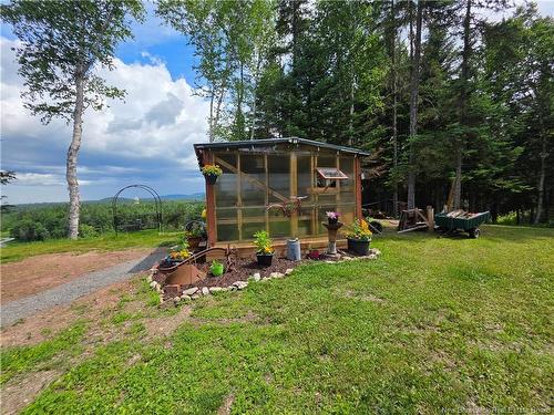 1546 Route 385, Oxbow, NB 