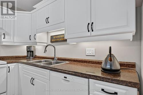 6 - 20 Windemere Place, St. Thomas, ON - Indoor Photo Showing Kitchen With Double Sink