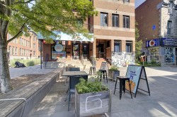 201 Rue Prince-Arthur E. Montréal (Le Plateau-Mont-Royal), QC H2X 2L6