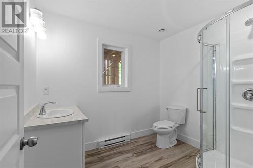 8 Mcgraths Road, Holyrood, NL - Indoor Photo Showing Bathroom