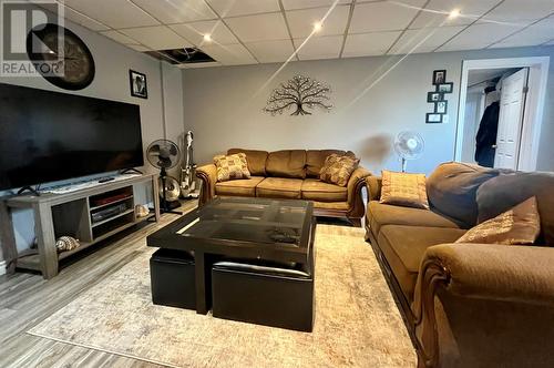 17 Hillview Avenue, Pasadena, NL 