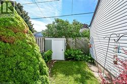 Compact green lawn area with a small storage shed, bordered by a wooden privacy fence and mature foliage - 