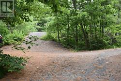 Separate Driveway - 