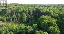 461 ALDERDALE ROAD Chisholm, ON P0H 1B0