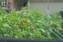 Image quality insufficient for description - 