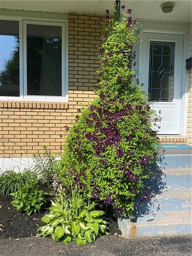 57 Wilson Rd, Riverview, NB 