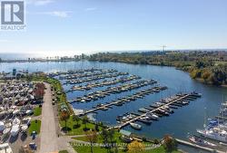 Rooftop views - 