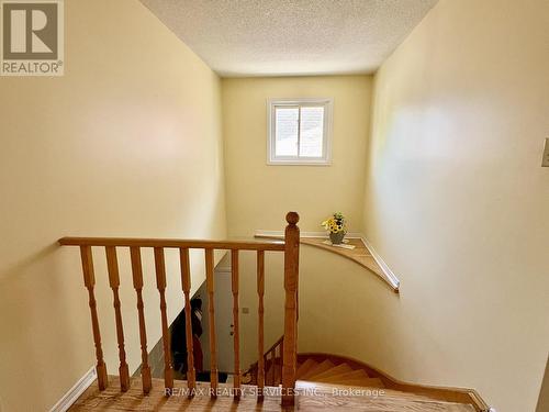 4460 Ashley Avenue, Mississauga, ON 
