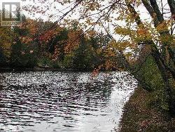 1260 MATHIASVILLE ROAD Bracebridge (Draper), ON P1L 1X1