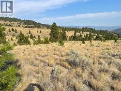 923 Midday Valley Road Merritt, BC V1K 0A3