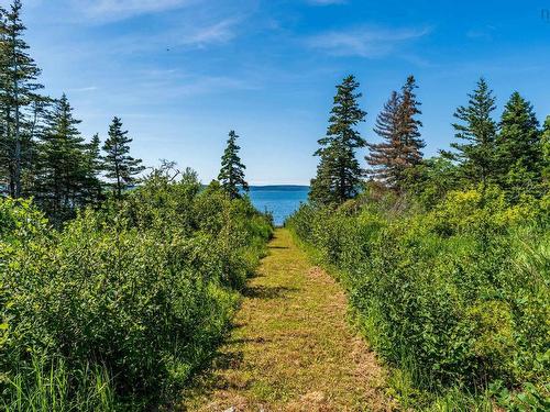131 Doty Branch, Ashmore, NS 