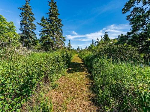 131 Doty Branch, Ashmore, NS 