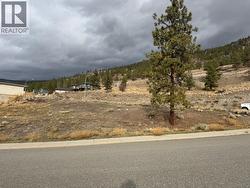 2860 Peregrine Way Merritt, BC V1K 0B4