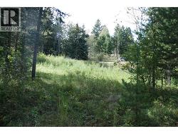 396 Wild Rose Drive Merritt, BC V1K 1B8