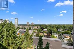 View from the rooftop - 