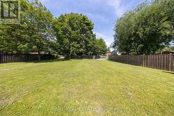 Backyard - 