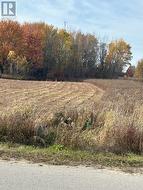 243 ARTHUR STREET North Huron (Wingham), ON N0G 2W0
