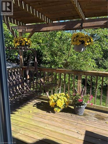 32 Mcmaster Drive, Caledonia, ON 
