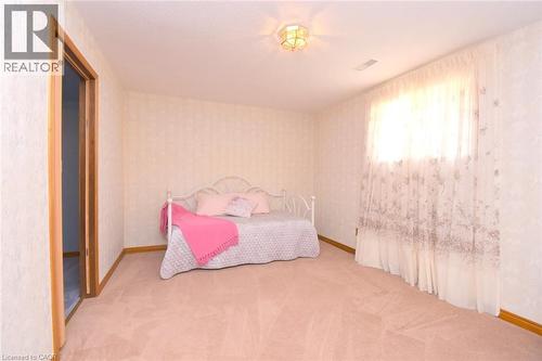 Lower level - 32 Mcmaster Drive, Caledonia, ON 