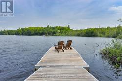 1160 BUTTERFLY ROAD Muskoka Lakes, ON P0B 1J0