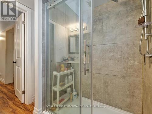 342 Frank Street, Ottawa, ON 