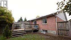 Back yard - 