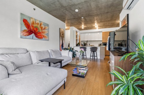Overall view - 311-85 Rue De Castelnau O., Montréal (Villeray/Saint-Michel/Parc-Extension), QC - Indoor Photo Showing Living Room
