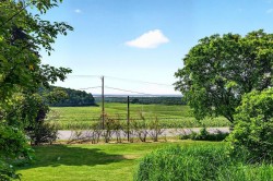 View - 