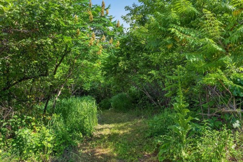 Wooded area - Ch. D'Oka, Oka, QC 