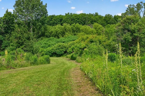 Wooded area - Ch. D'Oka, Oka, QC 