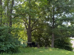 Overall view - 