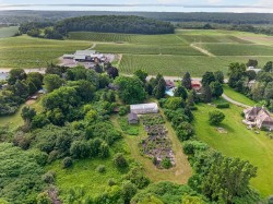Aerial View - 