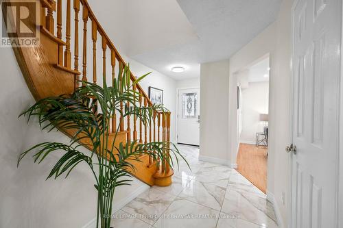 3118 Shadetree Drive, Mississauga, ON 