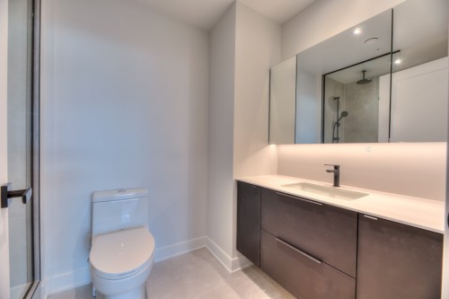 Bathroom - 1106-399 Rue De La Rotonde, Montréal (Verdun/Île-Des-Soeurs), QC 