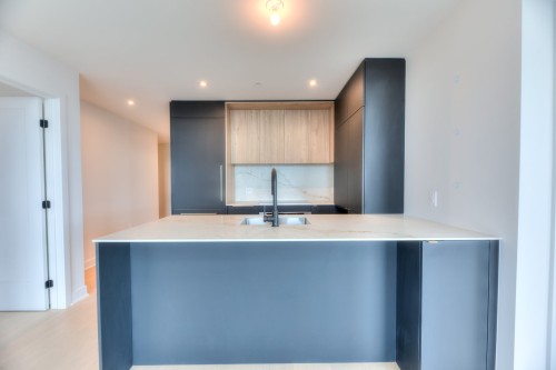 Kitchen - 1106-399 Rue De La Rotonde, Montréal (Verdun/Île-Des-Soeurs), QC 