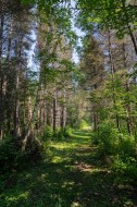 Lot - 