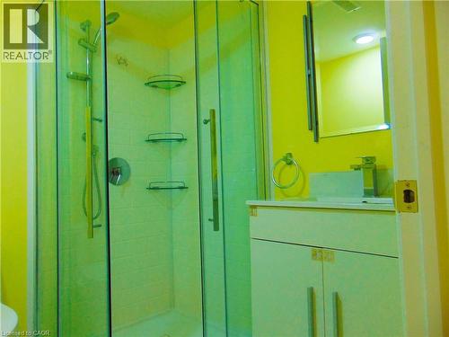Bathroom in basement - 214 Snowdrop Crescent, Kitchener, ON 