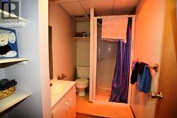 Lower Bathroom - currently decommissioned. - 