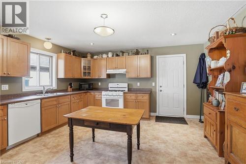 9 Pace Avenue, Brantford, ON - Indoor Photo Showing Kitchen With Double Sink